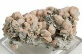 Pink Rhodochrosite After Calcite on Barite & Pyrite - Bulgaria #323945-1